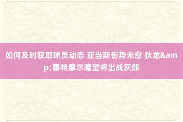 如何及时获取球员动态 亚当斯伤势未愈 狄龙&惠特摩尔瞻望将出战灰熊