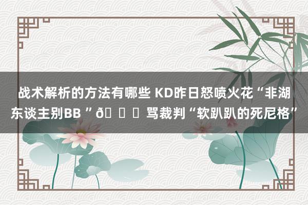 战术解析的方法有哪些 KD昨日怒喷火花“非湖东谈主别BB ”😂骂裁判“软趴趴的死尼格”