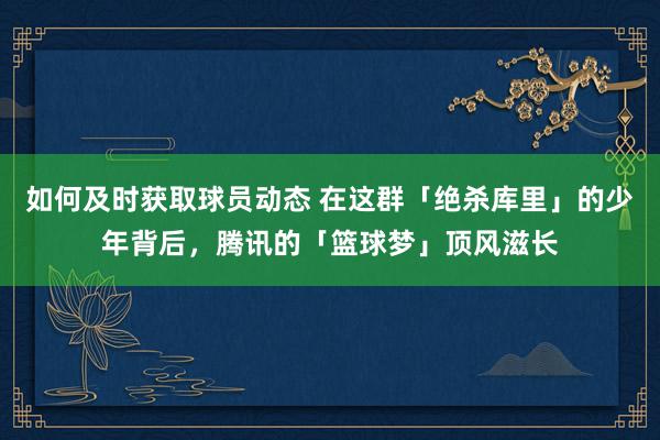 如何及时获取球员动态 在这群「绝杀库里」的少年背后，腾讯的「篮球梦」顶风滋长