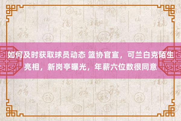 如何及时获取球员动态 篮协官宣，可兰白克陌生亮相，新岗亭曝光，年薪六位数很同意