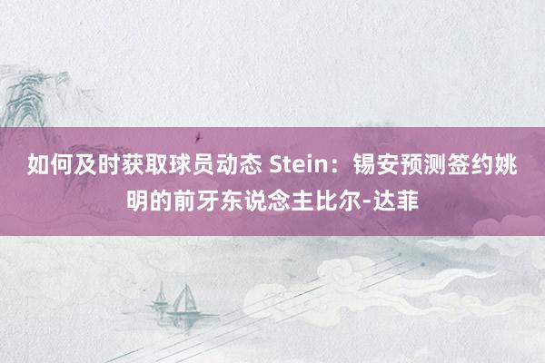 如何及时获取球员动态 Stein：锡安预测签约姚明的前牙东说念主比尔-达菲