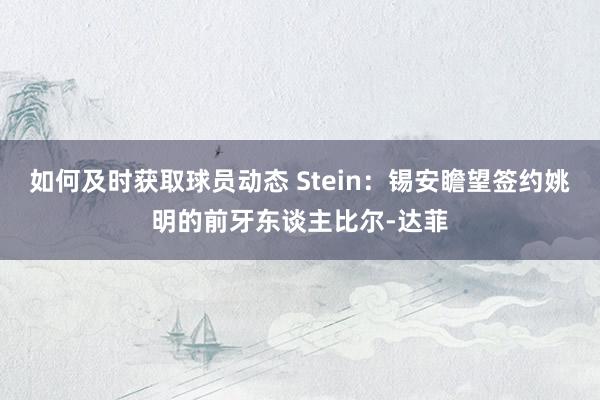 如何及时获取球员动态 Stein：锡安瞻望签约姚明的前牙东谈主比尔-达菲