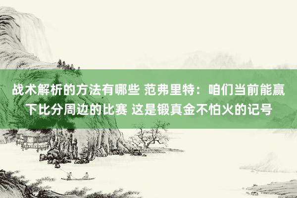 战术解析的方法有哪些 范弗里特：咱们当前能赢下比分周边的比赛 这是锻真金不怕火的记号