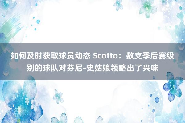 如何及时获取球员动态 Scotto：数支季后赛级别的球队对芬尼-史姑娘领略出了兴味