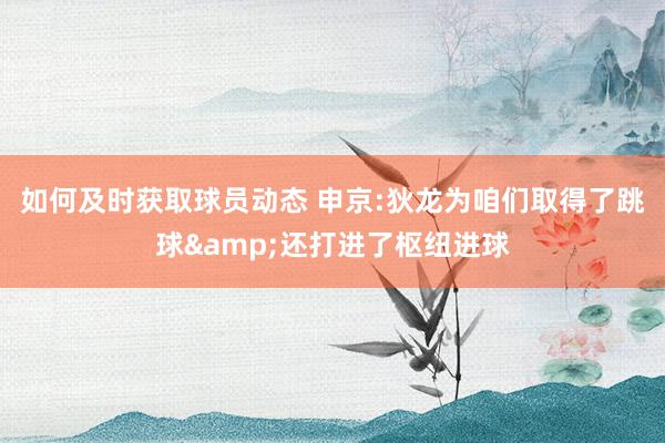 如何及时获取球员动态 申京:狄龙为咱们取得了跳球&还打进了枢纽进球