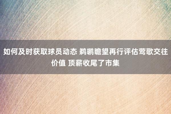 如何及时获取球员动态 鹈鹕瞻望再行评估莺歌交往价值 顶薪收尾了市集