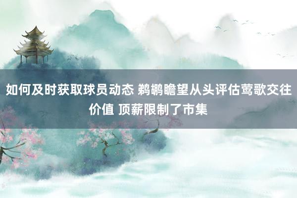 如何及时获取球员动态 鹈鹕瞻望从头评估莺歌交往价值 顶薪限制了市集