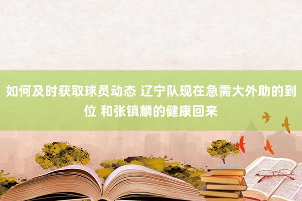 如何及时获取球员动态 辽宁队现在急需大外助的到位 和张镇麟的健康回来