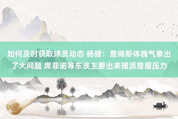 如何及时获取球员动态 杨健：詹姆斯体魄气象出了大问题 席菲诺等东谈主要出来摊派詹眉压力