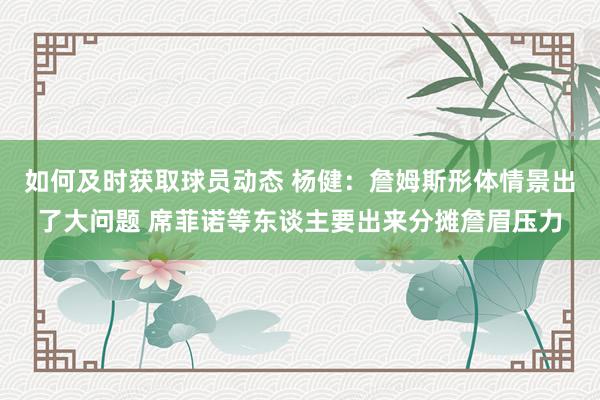 如何及时获取球员动态 杨健：詹姆斯形体情景出了大问题 席菲诺等东谈主要出来分摊詹眉压力