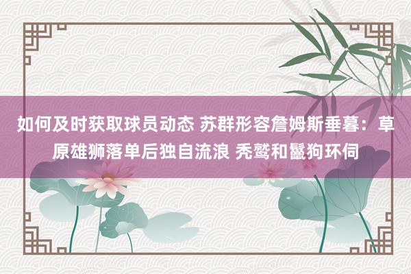 如何及时获取球员动态 苏群形容詹姆斯垂暮：草原雄狮落单后独自流浪 秃鹫和鬣狗环伺