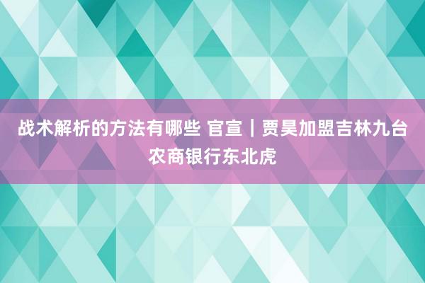 战术解析的方法有哪些 官宣｜贾昊加盟吉林九台农商银行东北虎